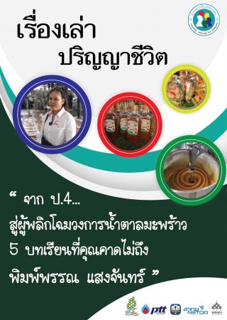 นแสงจันทร์-01